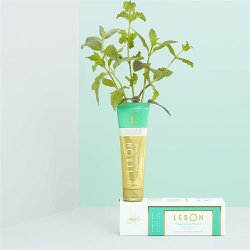 LEBON: Tandpasta - Cap Ferrat Mood